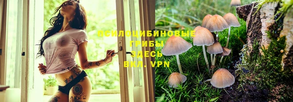 каннабис Алзамай