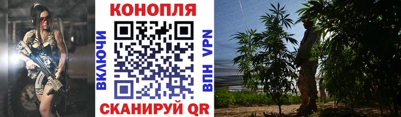 Шишки марихуана конопля  даркнет сайт  Тайшет 